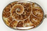 Fossil Ammonite Pendant - Million Years Old #205773-1